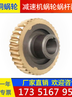 WP系列减速机蜗轮40型50型60型70型80型100型铜涡轮配件铜包铁