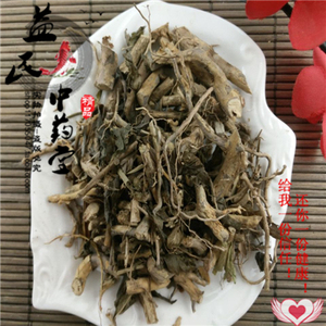 中药材白马骨根 优质中草药六月雪根