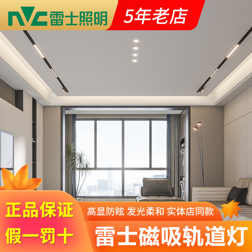 雷士磁吸轨道灯无主灯线型泛光灯