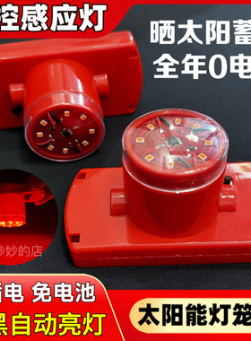 2026新款太阳能灯笼灯泡免插电天黑感应 遥控电池灯笼专用led红灯