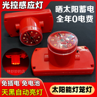2026新款太阳能灯笼灯泡免插电天黑感应 遥控电池灯笼专用led红灯