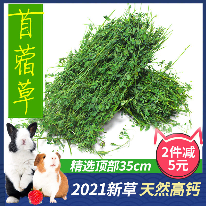紫花苜蓿草苜宿草兔粮新鲜牧饲料 21年头茬新苜蓿草 威毕旗舰店 淘优券
