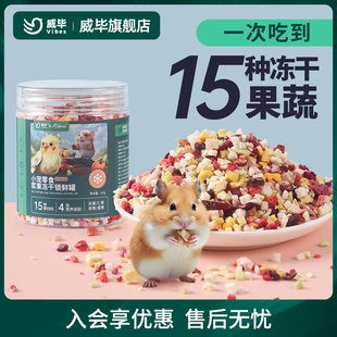 仓鼠零食兔子粮食伴侣冻干蔬菜水果干磨牙什锦沙拉金丝熊龙猫用品