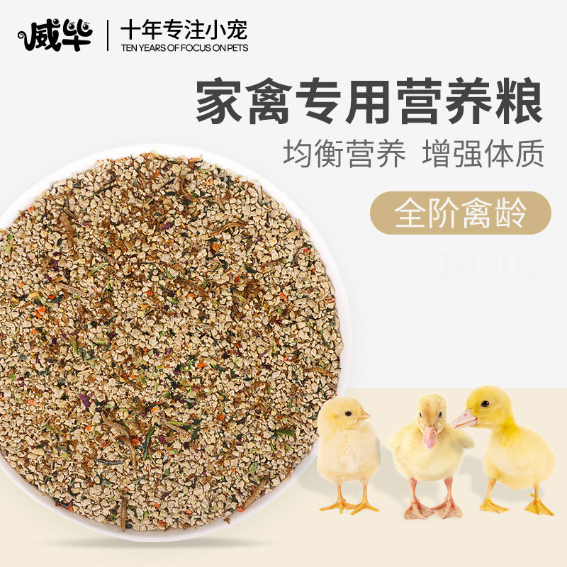 小鸡饲料家禽幼鸡鸭喂鸡鸭产蛋育雏专用芦丁鸡饲料混合粮食食物虎窝淘 