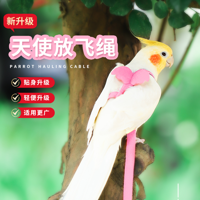 超轻不伤脚飞行牵引外出神器鹦鹉