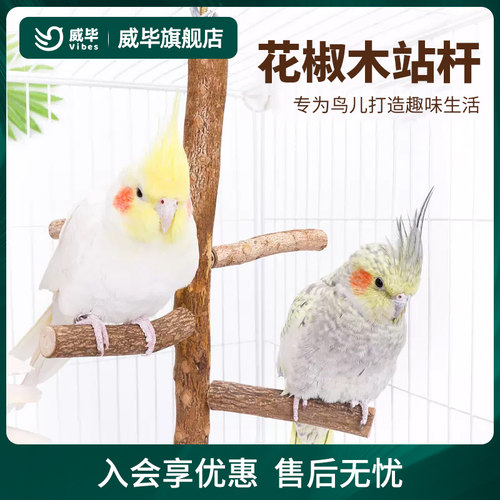 威毕花椒木站杆玄凤虎皮牡丹鹦鹉八哥站棍站架磨爪棒多叉跳跃站杆 - 封面