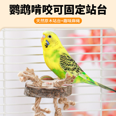 威毕鹦鹉站台苹果木鸟跳台麻绳啃咬磨牙玩具栖息玄凤牡丹虎皮站架