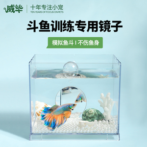 泰国斗鱼专用训练镜子悬浮球罗汉鱼雷龙鱼缸外镜小型鱼缸造景摆件