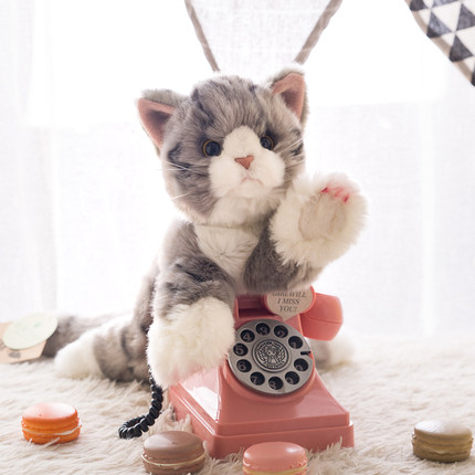 可爱英短橘猫咪公仔安抚睡觉抱枕毛绒玩具玩偶布偶娃娃生日礼物女