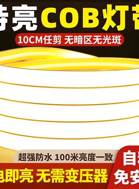 柔性硅胶led灯带220v超亮自粘线形灯槽家用客厅吊顶COB户外软灯条