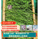 毛重2斤 白菜麻麻 新草5A级精品烘干头茬提摩西草段龙猫兔子豚鼠