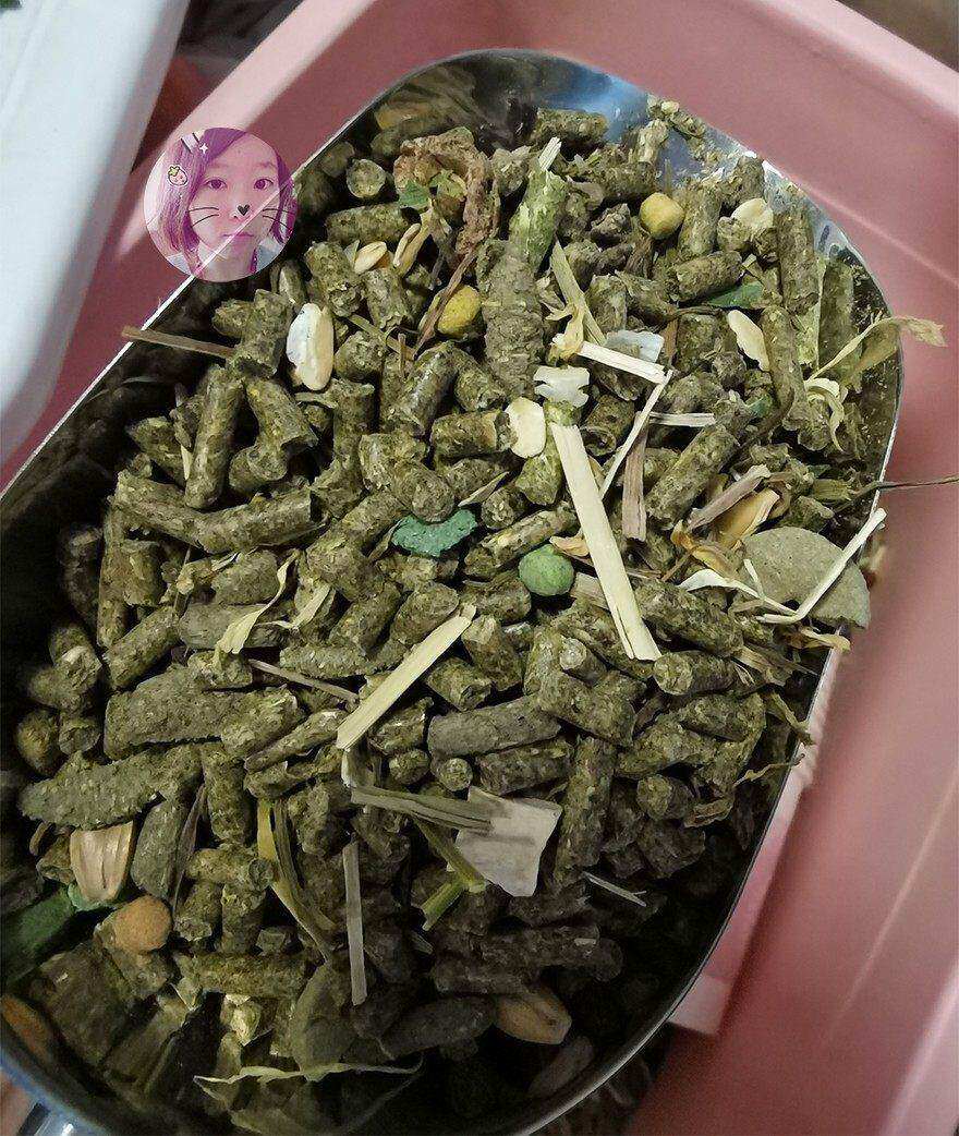 白菜麻麻 龙猫混粮1磅 增肥美毛均衡营养 马祖瑞爱宝威霸碧甜VK