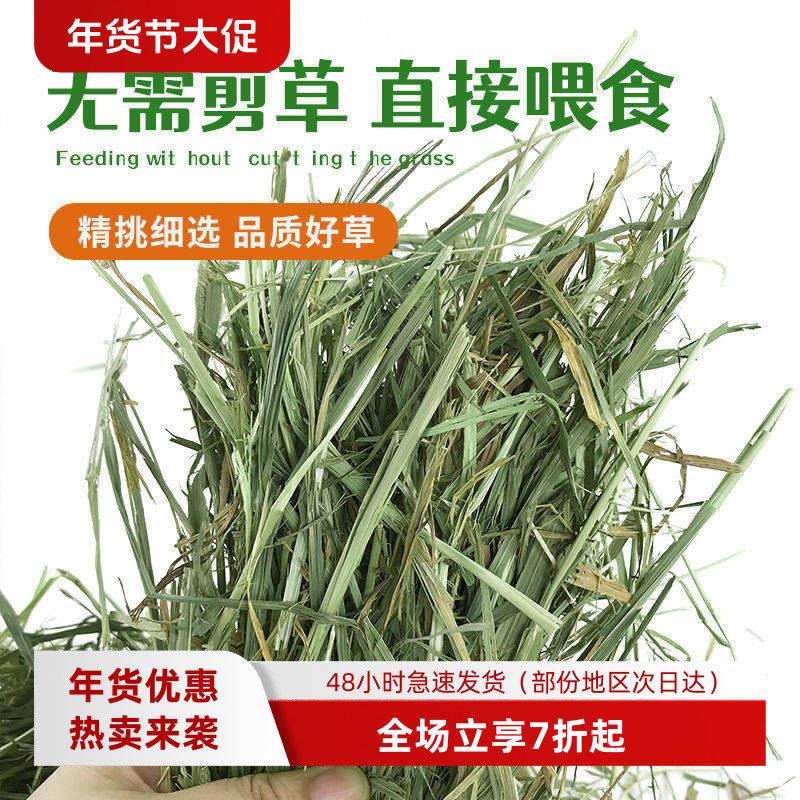 白菜麻麻 赛级加提SP一番提摩西新草高纤维好磨牙兔子龙猫豚鼠,宠物/宠物食品及用品,玩具/造景装饰,淘宝优惠券,粉丝福利购,淘宝优惠卷