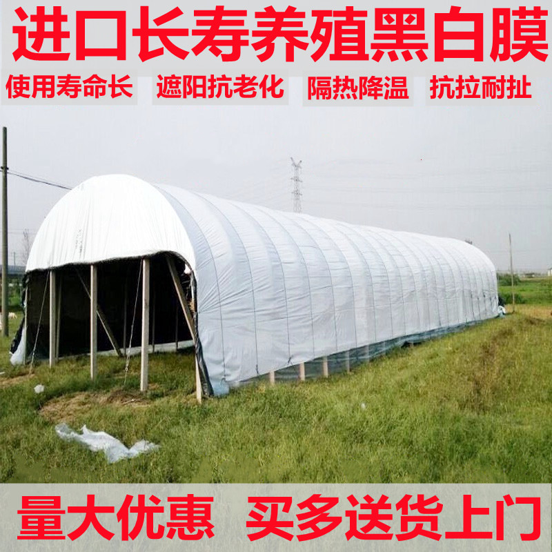 进口加厚黑白膜pe防晒防渗遮阳隔热降温抗老化多功能养殖专用棚膜,农机/农具/农膜,农用薄膜,淘宝优惠券,粉丝福利购,淘宝优惠卷
