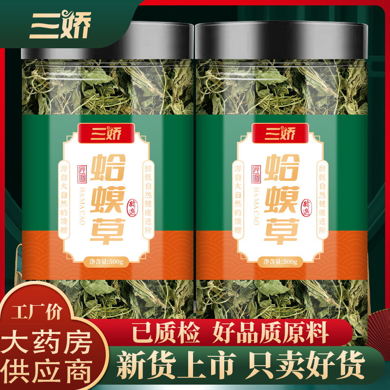 蛤蟆草中药材的功效新鲜癞蛤蟆草荔枝草雪见草正品包邮非野生包邮