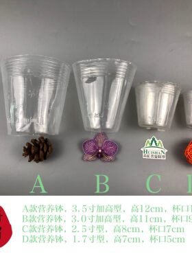 营养钵蝴蝶兰石斛白色透明杯子