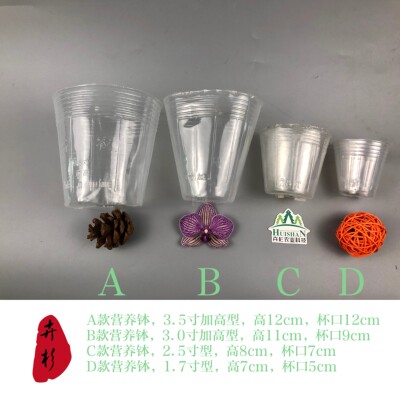 营养钵蝴蝶兰石斛白色透明杯子