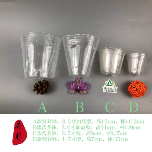 营养钵蝴蝶兰石斛白色透明杯子