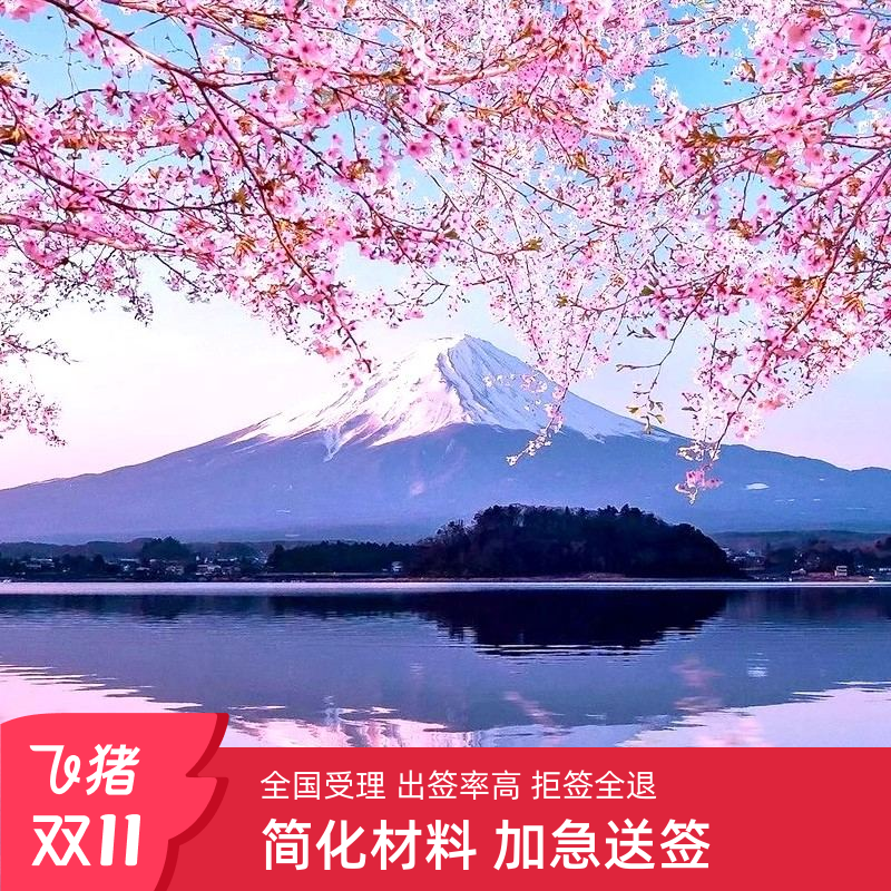日本单次旅游签证北京送签