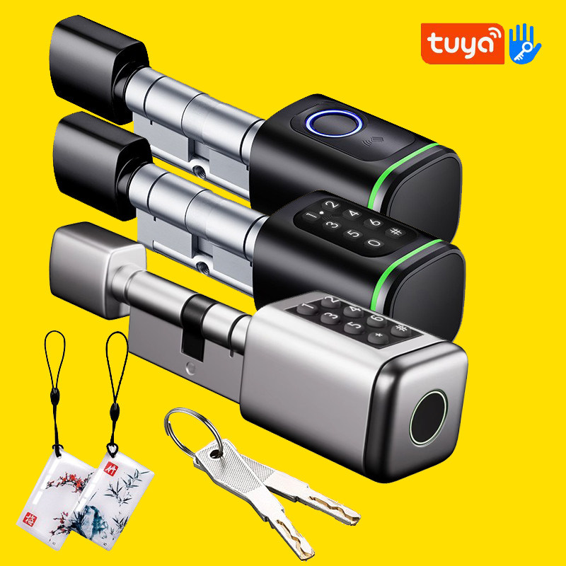涂鸦智能锁芯可加长通通APP刷卡防盗大门指纹锁替换锁芯密码5合一