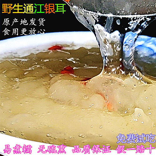免费试吃通江椴木野生软糯银耳