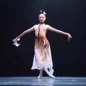 古典舞玉兰舞蹈演出服装 女子群舞中国舞现代舞飘逸表演服 当代舞