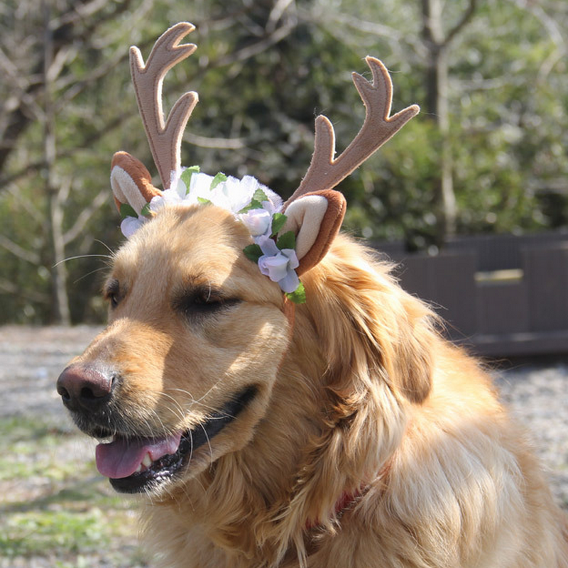 仙鹿角头箍圣诞节cos卡通装扮头饰可爱猫咪鹿角发箍宠物狗狗道具