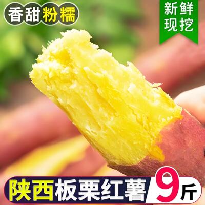 陕西大荔板栗红薯新鲜水果当季农家自种地瓜粉糯香甜板栗红薯9斤