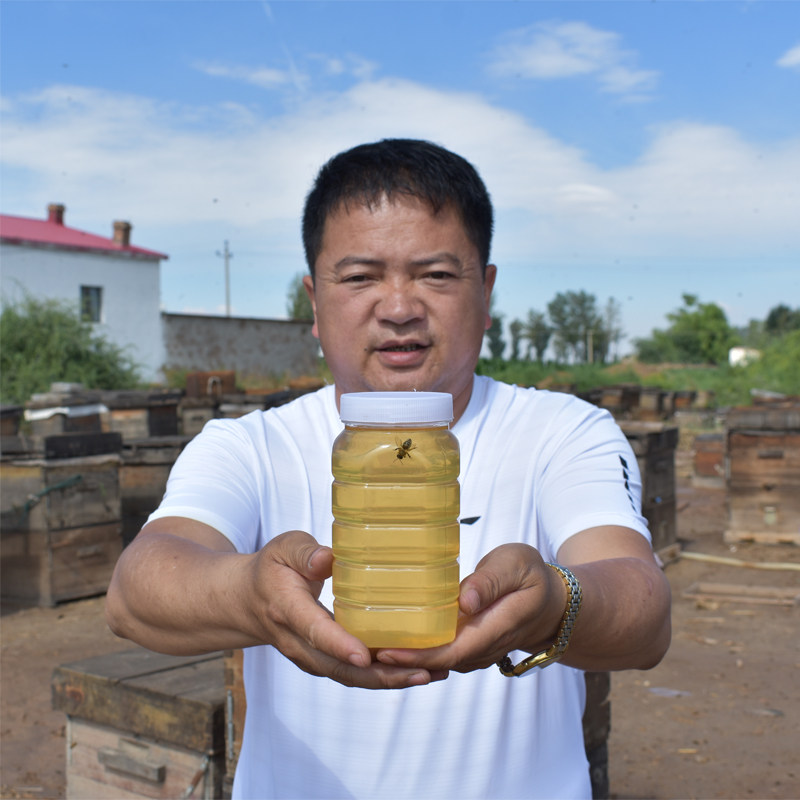 枸杞蜜正宗热卖新土蜂蜜农家自产成熟野生深山非进口青海宁夏百花