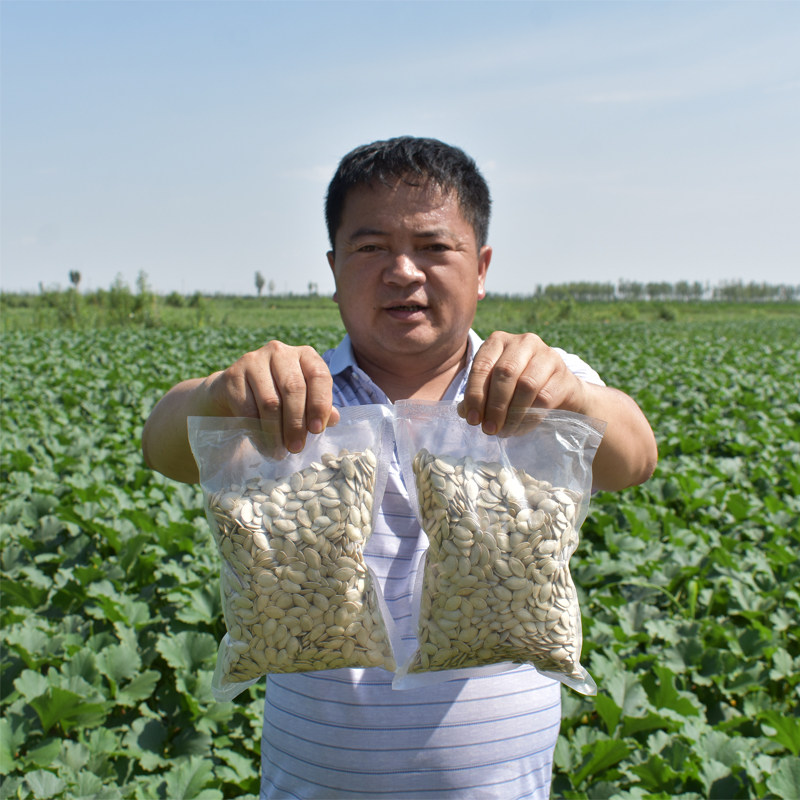 大片生南瓜子25年新货内蒙古原味农家白皮瓜子带壳葫芦籽散装包邮