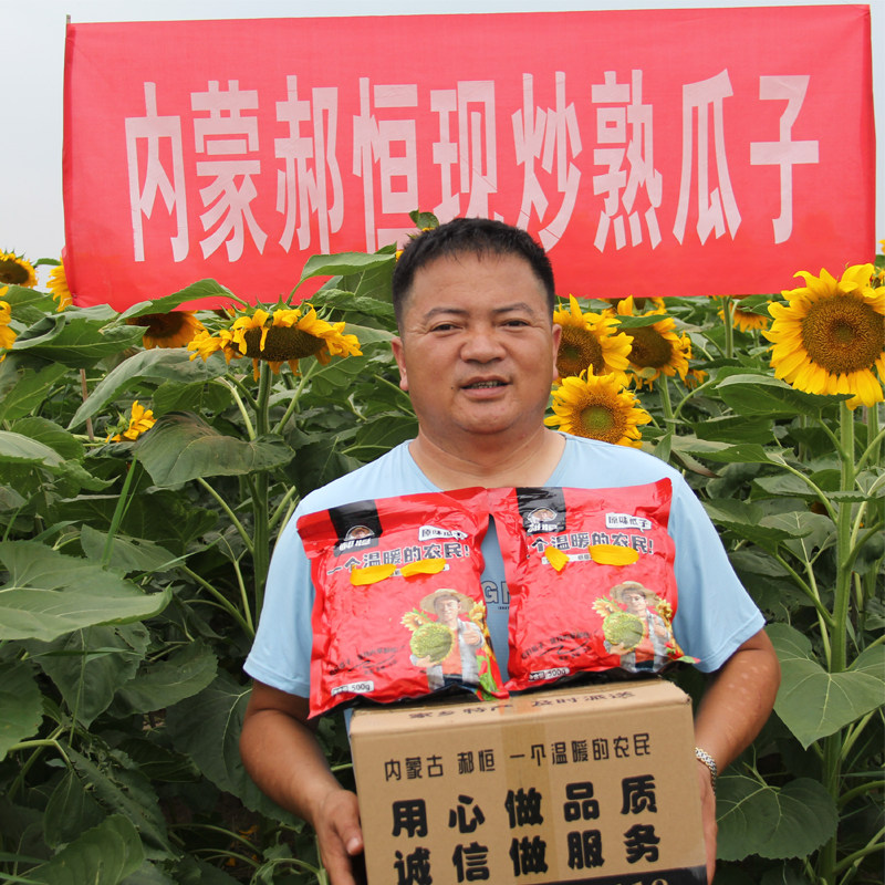 内蒙郝恒原味363熟瓜子大颗粒精品现炒葵花籽2026年新货休闲零食