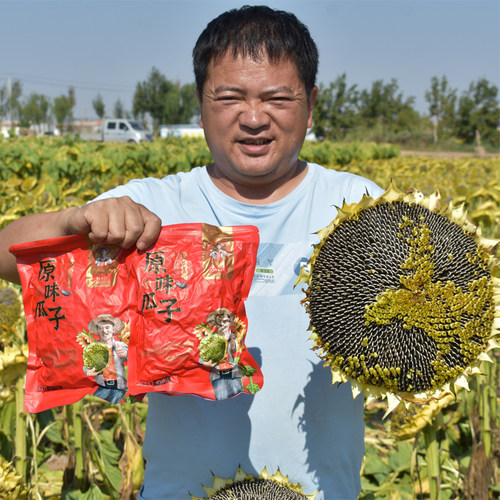 现炒原味熟瓜子大颗粒218克袋装