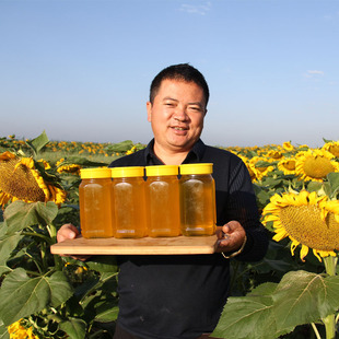 2斤非百花蜜 葵花蜜内蒙古向日葵土蜂蜜 农家自产高浓度结晶蜜灌装