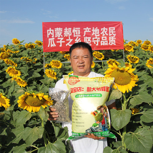 内蒙生葵花籽大粒新货363生瓜子