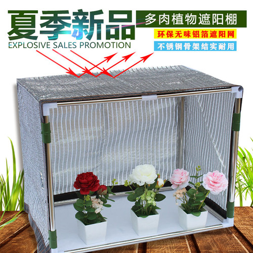 防晒多棚肉素材模板 防晒多棚肉图片下载 小麦优选