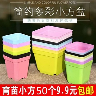 加厚七彩方盆多肉盆黑方塑料育苗盆多肉植物种植盆正方形扦插叶插
