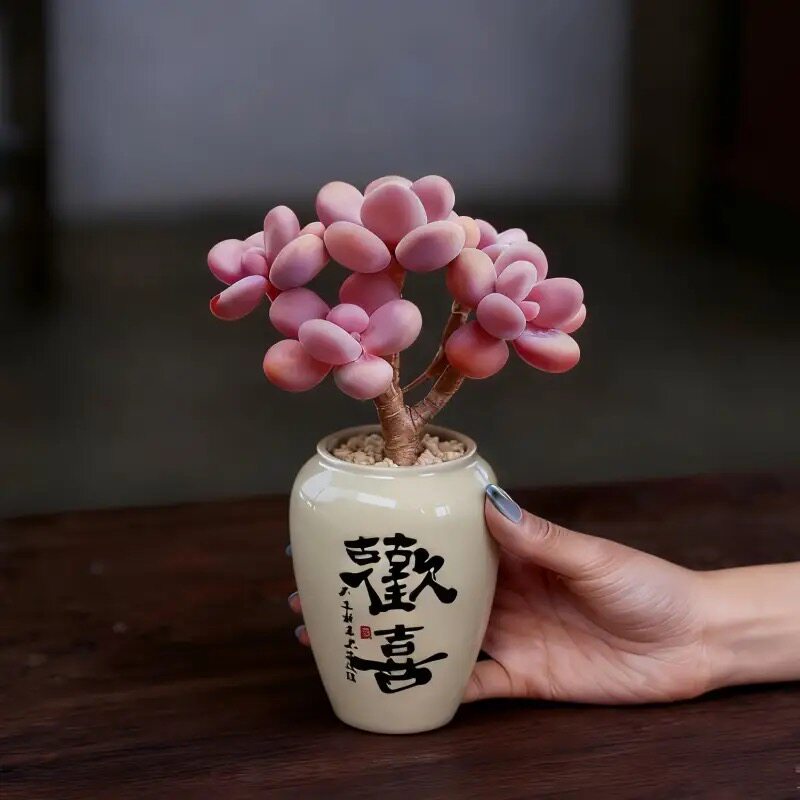 桃蛋老桩多头群生多肉植物盆栽肉肉办公室花卉阳台绿植室内防辐射