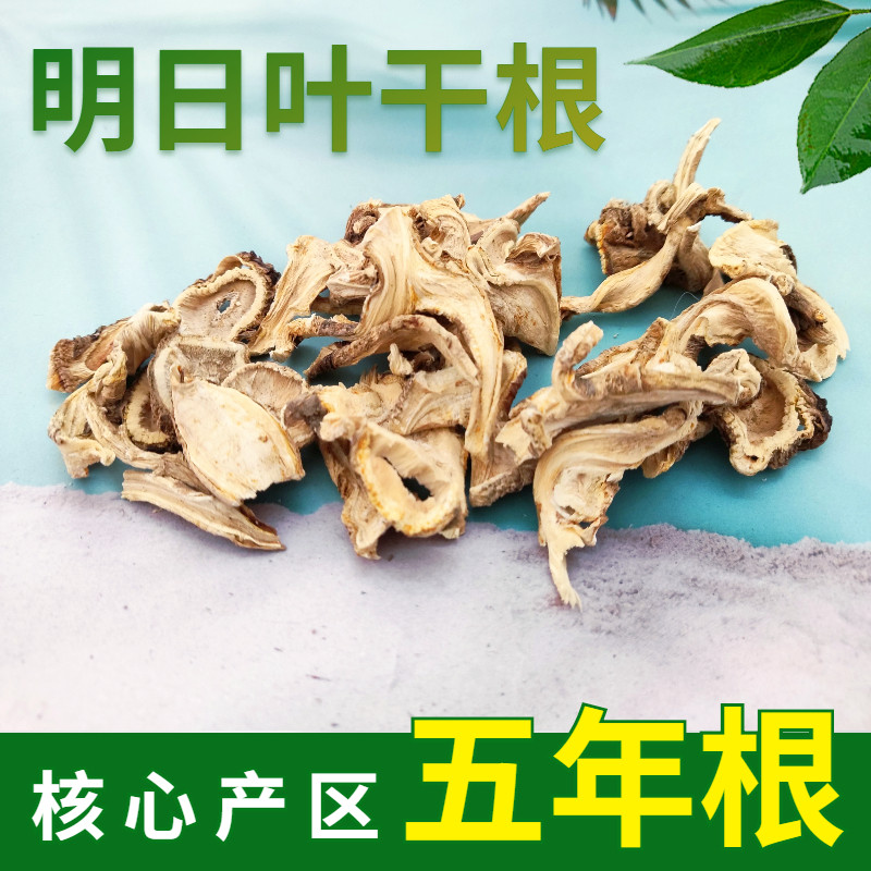 明日叶干根含查尔酮有机锗核心产区五年根药用拍二送一【100g】
