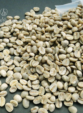 高晟庄园 水洗 铁皮卡生豆云南小粒阿拉比卡咖啡正宗源老品种新豆