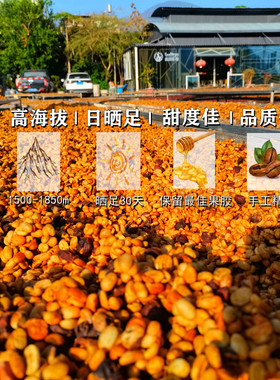 高晟庄园 厌氧蜜处理 咖啡生豆云南生豆卡蒂姆阿拉比卡咖啡豆