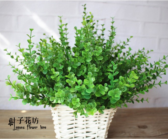 婚纱摄影道具 影楼拍照道具 韩式主题道具 仿真花 铜钱草 幸福草