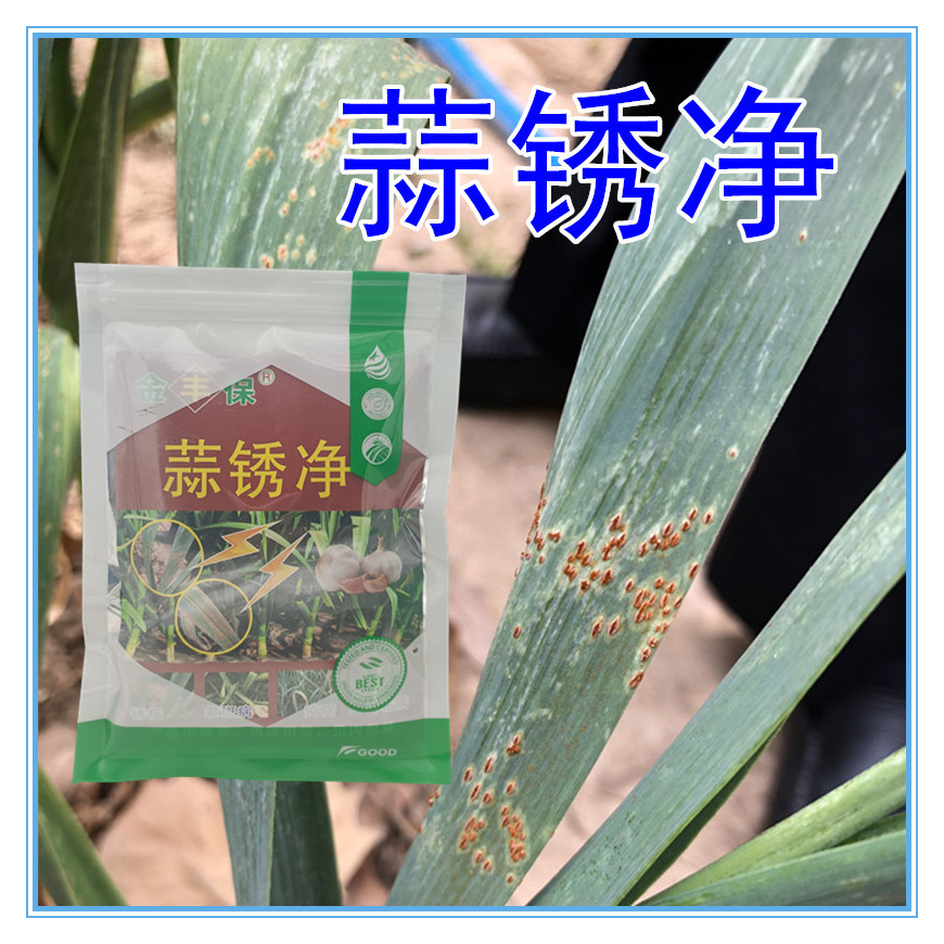 蒜锈净大蒜锈病药大蒜专用药黄疸红点铁锈病农药大蒜红锈病杀菌剂