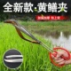 不锈钢黄鳝夹子加长加厚鳝鱼夹泥鳅螃蟹钳子防滑防脱工具赶海神器