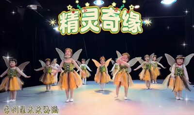 其他女款卡通表演服蓬蓬裙