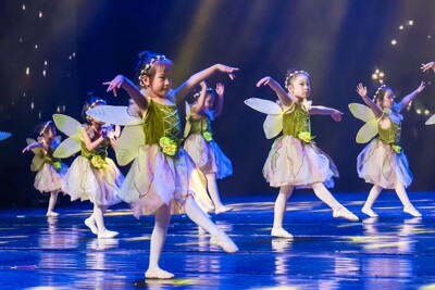 其他女款古典公主裙表演服