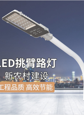 户外防水超亮led挑臂路灯50W80W农村小区道路金豆220V电线杆灯头