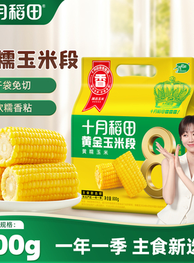 十月稻田黄金玉米段800g免切低脂黏糯黄糯玉米新鲜苞米东北官方
