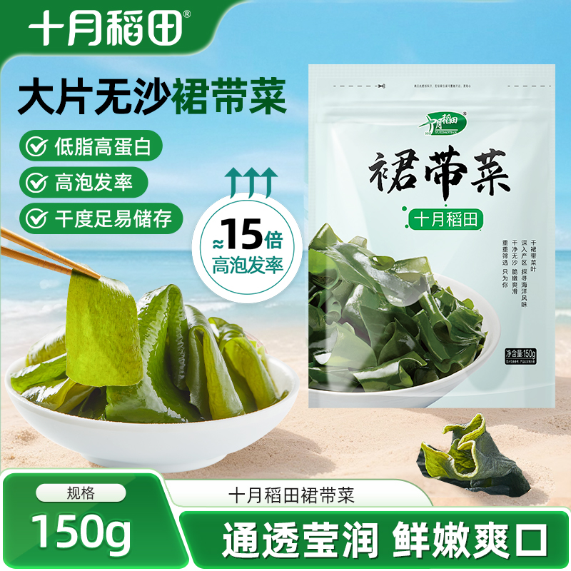 十月稻田裙带菜大片无沙