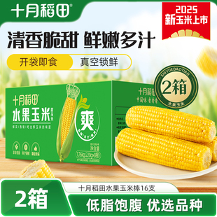 十月稻田水果玉米棒2箱清甜爽脆可口多汁零食早餐真空官方旗舰店