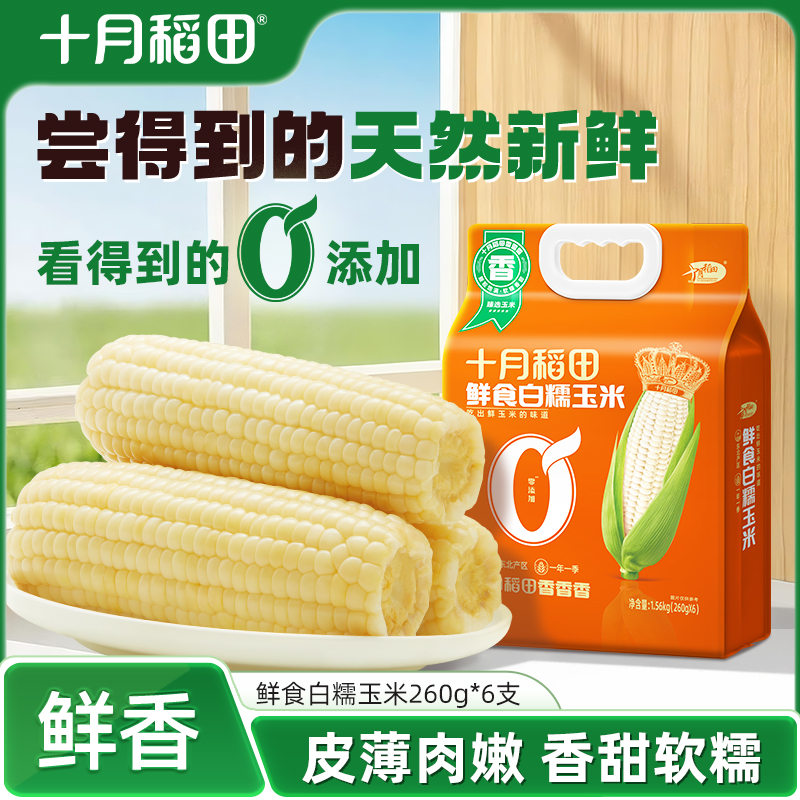 十月稻田鲜食白糯玉米260g×6根